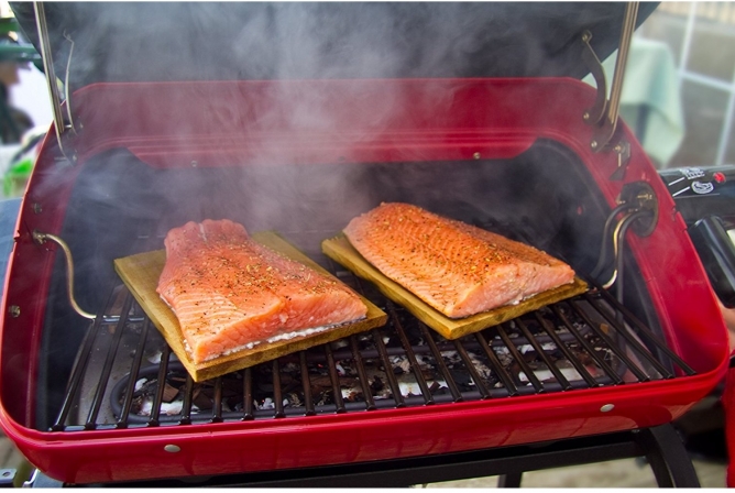 Easy Street Deluxe Electric Cart Grill Review Grill Top